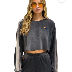 NWT- Aviator Nation Faded Classic Stripe Cropped Crew